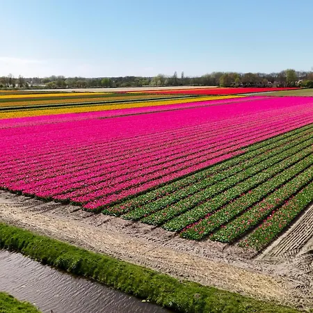 Aan Zee Дом отдыха Нордвейк-ан-Зее