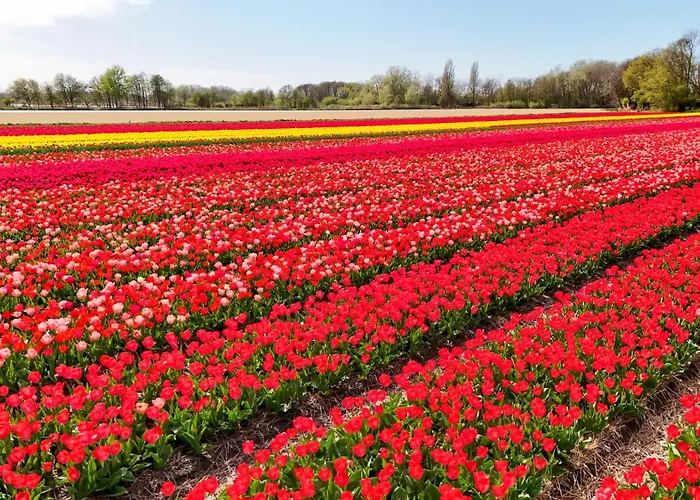 Aan Zee Dom wakacyjny